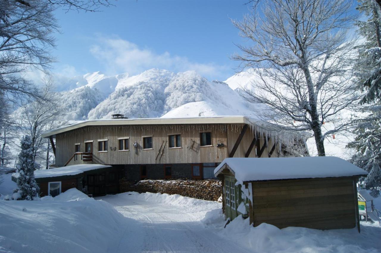 Hi Hostel